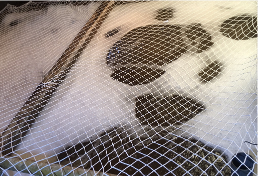 圖片1000.png 圖片1000.png